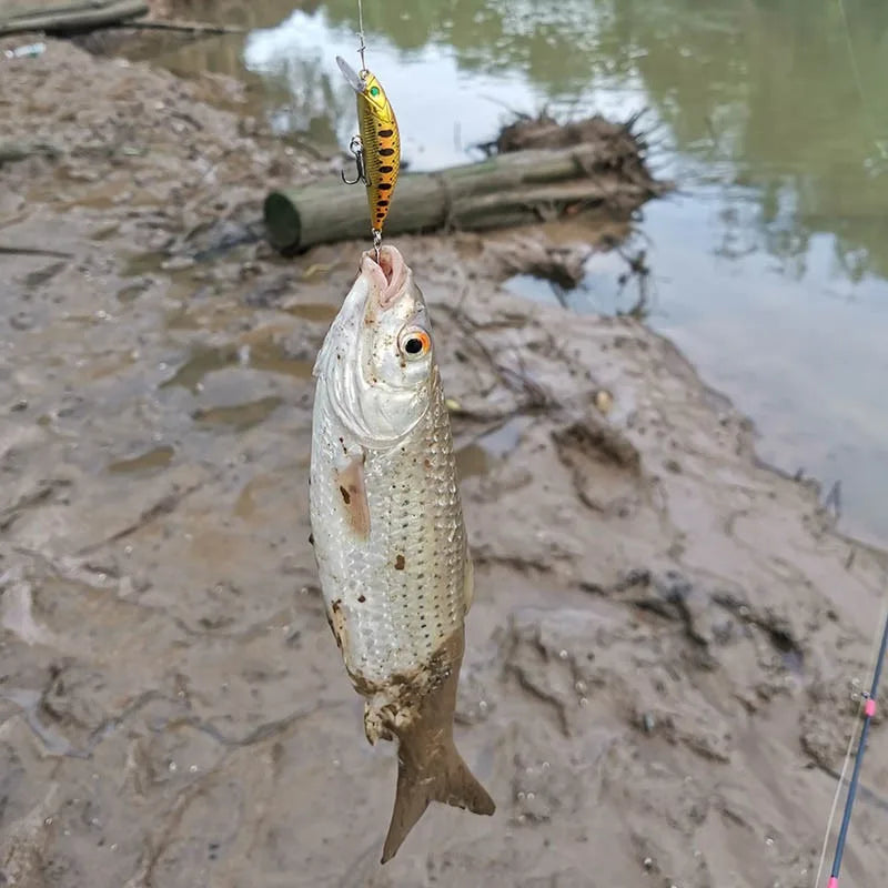 ANFS 5pcs Hard Fishing Lure Set - Minnow Baits with 3D Eyes & Tackle Box - Topwater/Mid-Water